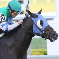 Haras Montesano (@harasmontesano) 's Twitter Profile Photo Haras Montesano (@harasmontesano) 's Twitter Profile Photo