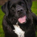 Robyn Lockwood - @IMNtABird - Twitter