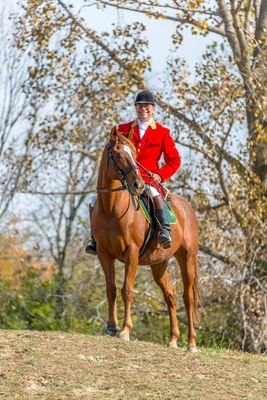 Aging horseman, MFH with Miami Valley Hunt. I believe that old ways and styles are best and that nothing beats a Thoroughbred.