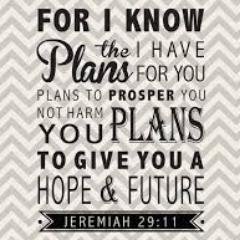 JDiNozz's profile picture. 