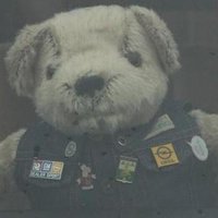 Ted O'Connell (@tedoconnell10) 's Twitter Profile