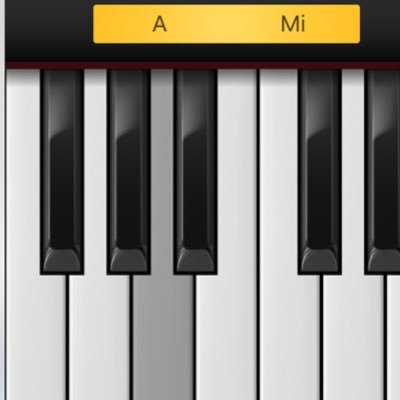 I develop the application of the musical instruments. ThumbPiano is free application that can practice the piano as a vertical screen. Please try it!!