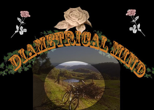 Diametricalmind's profile picture. 99年夫妻 欢迎情侣 单女 单男交流