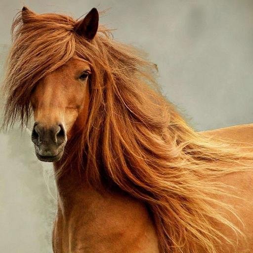 yogeshfartyal's profile picture. Banker, Analyst, Small Trader