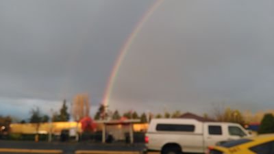 RosalindShallow's profile picture. 