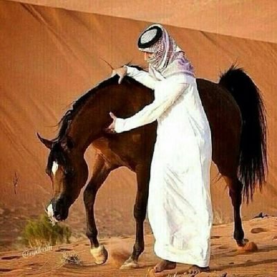 لماذا الغياب دائماً ياتي من الذين قدّمنا لهم كل شيء ..