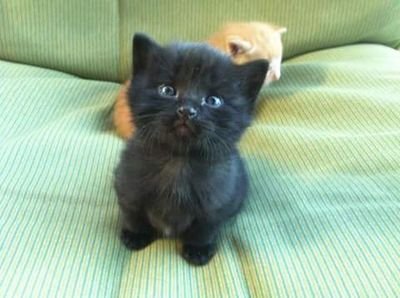 nad18230's profile picture. 