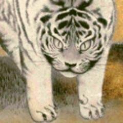 431_11's profile picture. 原発で作った電気は買いません(^_^)b