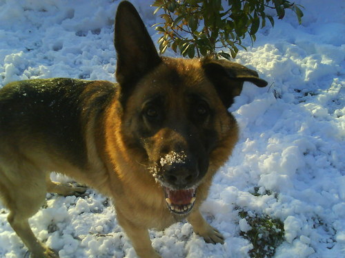 Nakezuma's profile picture. From 🇬🇷
Strategy is both my field of work and my life's passion. | Interests: personal finance, politics, nerd culture, gaming |
2023 FaB GR National Champion