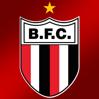 Torcedor fiel do Botafogo - rumo ao centenario. Orgulho de Ribeirao!