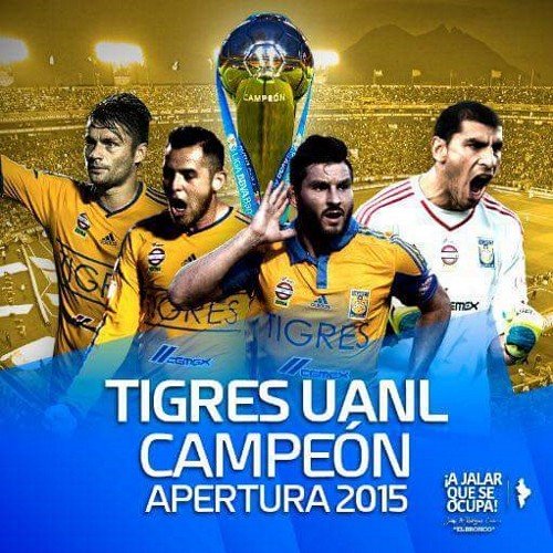 jorgeve84145892's profile picture. 