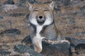 墓さんのプロフィール画像