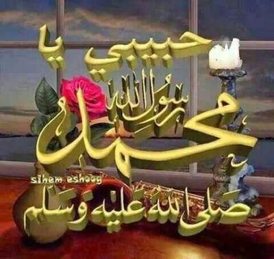 alaam_ahmad's profile picture. هادي