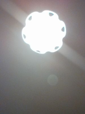 PalomaGajate's profile picture. 