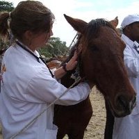Dr Gabrielle Laing (@drgabbylaing) 's Twitter Profile Photo Dr Gabrielle Laing (@drgabbylaing) 's Twitter Profile Photo