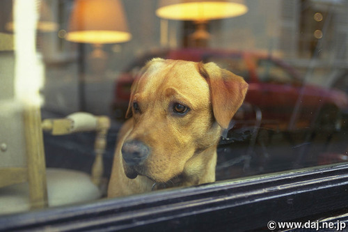 Anonymous Japan user who values free speech and democracy. Just a dog lover! 🐶
