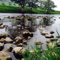 Margaret struthers (@lipluom) 's Twitter Profile