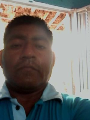 misaelzarate2's profile picture. 