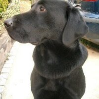 miuepic (@miuepic) 's Twitter Profile