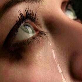 NSorihi's profile picture. 