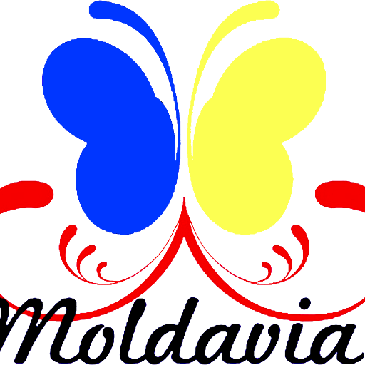 DMoldavia's profile picture. 