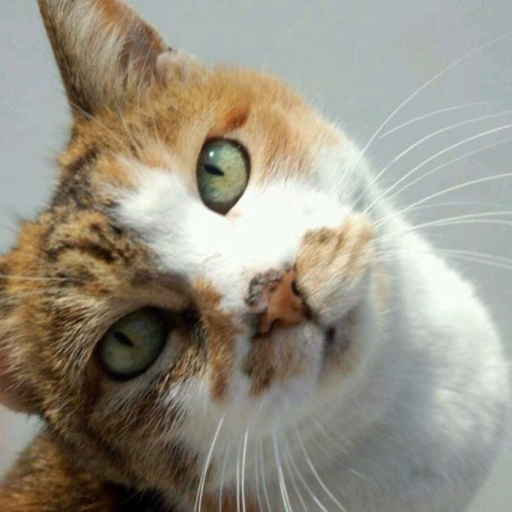ひろさんのプロフィール画像