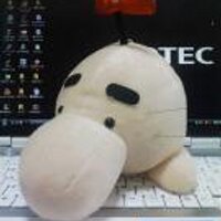 今 俊郎 (@kontoshi) 's Twitter Profile Photo 今 俊郎 (@kontoshi) 's Twitter Profile Photo