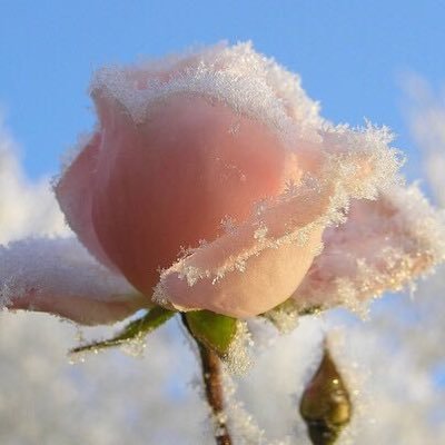 gaolingyun007's profile picture. 