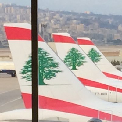 You are Lebanese and want to become a professional pilot at Middle East Airlines.. Follow us!