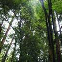 Renee Meyer - @321renee - Twitter