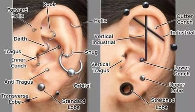 since : x_treme art body piercer. 08_2008 - 2016_ 08155088868 - 089661704417 .