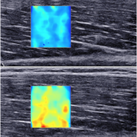 QUETE (@quete_project) 's Twitter Profile