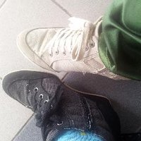 _retweet-at_anything-atm_ (@hoshidotnashi) 's Twitter Profile