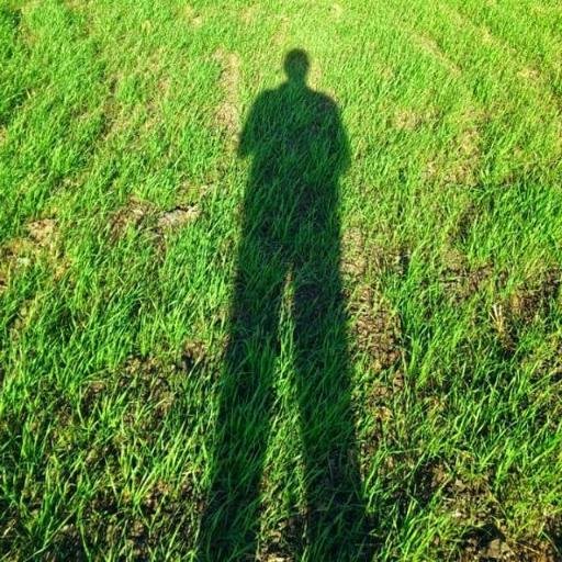 a_alii_elsayd's profile picture.