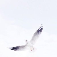 | (@haayyaa38) 's Twitter Profile
