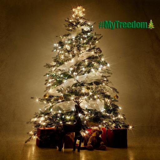 Celebrating freedom from persecution and the right to Christmas everywhere around the world. Send us your photos: MyTreedom@gmail.com