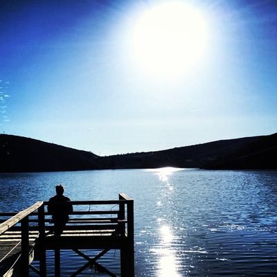 DavidZimanes's profile picture. 