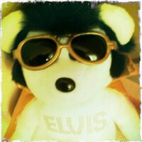 pancrock (@pancrock) Twitter profile photo