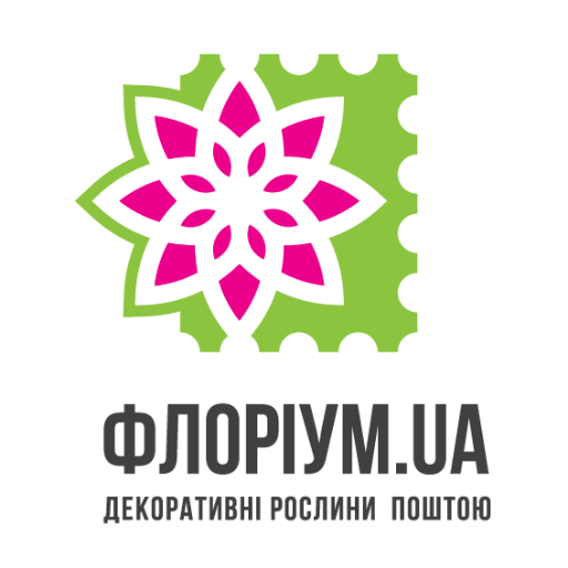 Покупка домашних растений и садовых цветов оптом: лилии, тюльпаны и другие луковицы цветов и растений. https://t.co/YFL4WAdFAm