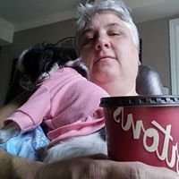 RenataPenguin's profile picture. What can I say , im me. If you know me , youll know