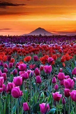 N3T2VciyGWkb7qi's profile picture. 