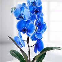 yüsra subaşı (@subaysra) Twitter profile photo