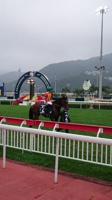 nerimaximum's profile picture. 趣味の情報収集用です。🍺🍶散策と、競馬（一口馬主：シルク・YGG・DMM）、バイク（ZX-14R）を楽しんでいます。