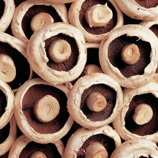 Mighty_Mushroom's profile picture. Keeping things nice and mushroomy - linking good health and the enjoyment of good food. It is all about the mushrooms.