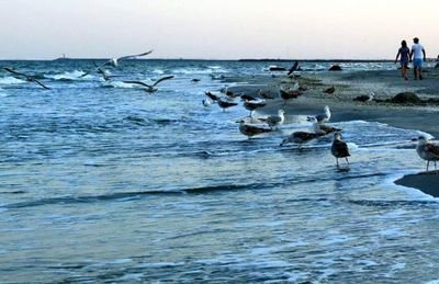 CorbuOnline's profile picture. 