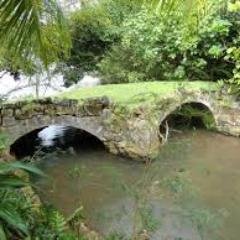 IslanderView's profile picture. THE GOOD LIFE - Connecting islanders of Guam & Micronesia around the world.