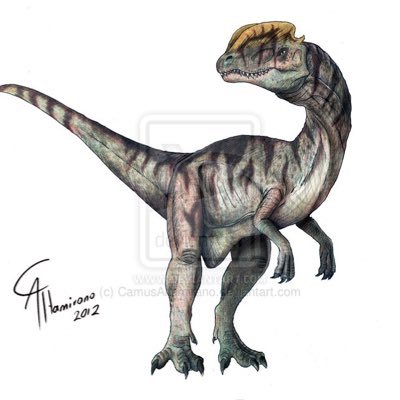 DilophosaurusZ's profile picture. I'm Zach the dliophosaurs I'm shy and I'm nice I'm cute but don't get me mad