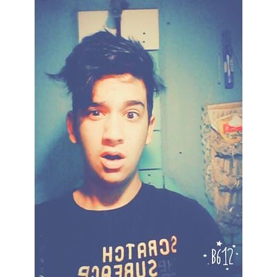 whatsapp:1130077987