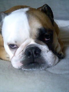 kawamura88's profile picture. 