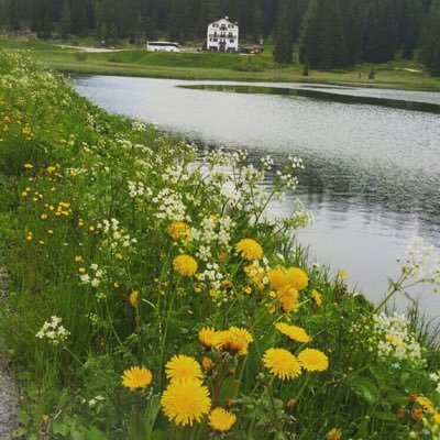 RAA12254374's profile picture. ابحث عن شريكه حياتي ، قطري ، منصب ، جامعي ، مقتدر ، وسيم